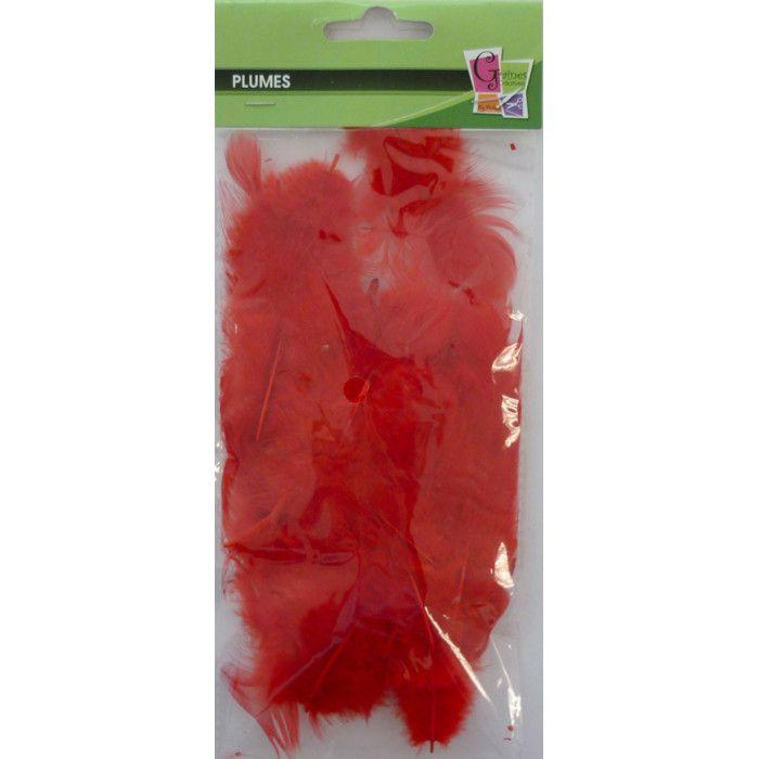 Rooster Feathers - CREATIVE SEED - Red - Length 10 Cm - 3 Gram Bag - Artisan Quality
