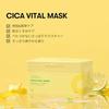 VTCOSMETICS Sheet Mask Box Skincare (2. Cica Vital Mask)