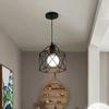 Vintage Industrial Pendant Light Led Modern Hanging Lamp for Ceiling Light Fixture Metal Cage Kitchen Island Living Room