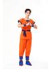 Dragon Ball Z-Kostüm: Goku, Kame Master, Piccolo-Rollenspiel für Halloween oder Bühnenauftritte