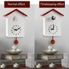 Cuckoo Clock - Plastic Hanging Bird Wall Clock with Bird Tweeting Sound Modern Home Living Room Minimalist Decoration Gift