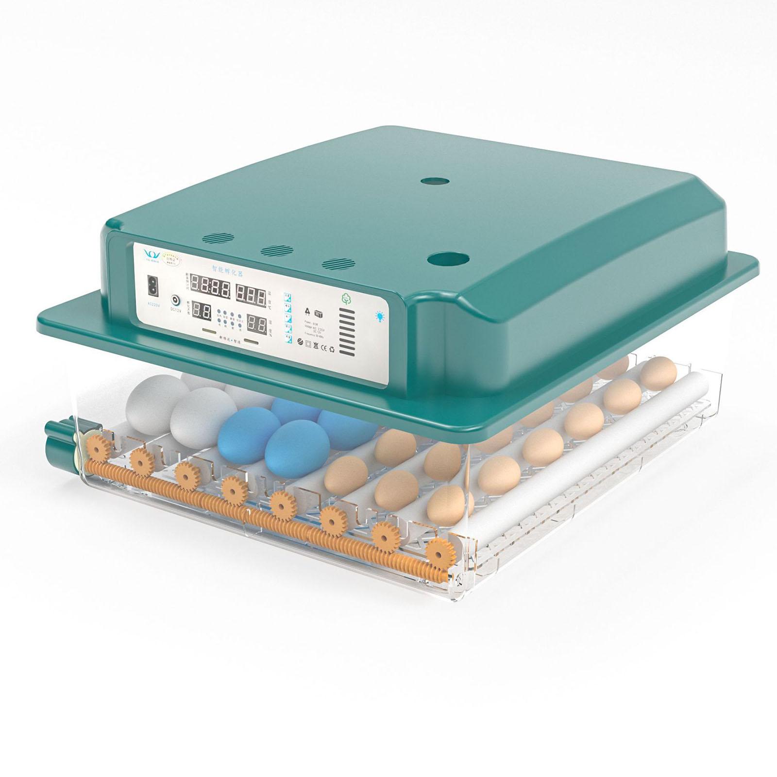 Инкубатор для яиц теплуша 72. Пищит инкубатор. Пищит инкубатор. Мини инкубатор paiduoji. Инкубатор mini egg wz12 - 12v автоматический.