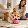 Realistic Squeaky Dog Toy with Material - Interactive Puppy Toy for Boredom and Play