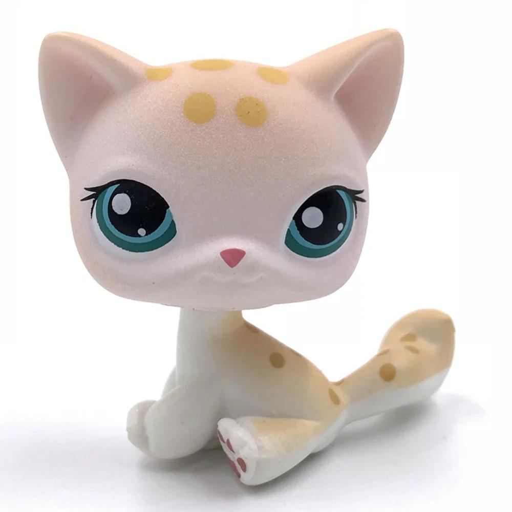Rare Littlest Pet Shop Lps Toy Toy Mini Stands Short Hair Kitten Old Figures Collection Al Bobble Head Toy