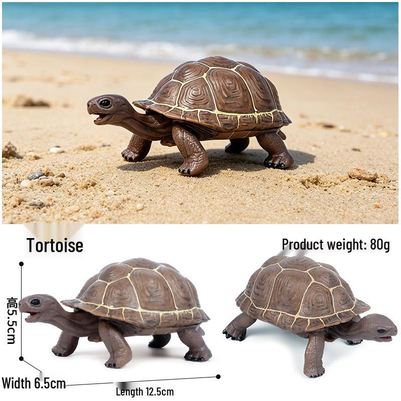 Children's Cognitive Marine Animal Models: Sea Turtle and Tortoise Toys