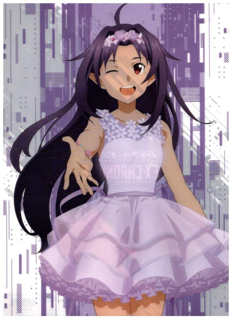 Ranma 1/2 Compatible FamilyMart Clear File Set of 2 Akane Tendo