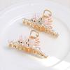 Fashion Disc Hairpin Shark Clip Large Hair Volume Multi-French Grab Clip Women'S Premium Sense Back Head Hair Accessories Head Accessories