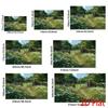 2D Spring Meadow Backdrop for Outdoor & Nature Themed Photoshoot