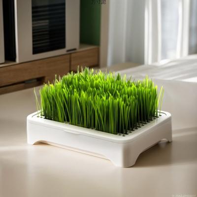 Anti-Pull Out Cat Grass Planter Plastic Wheat Seedling Pot Sprout Tray Home Gardening