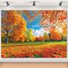 1pc Autumn Landscape Background with Golden Leaves  Suitable for Autumn Festivals  Ideal Natural Photography Background