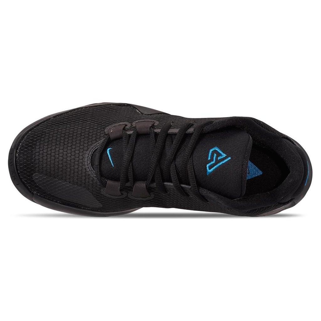 Nike Zoom Freak 1 'Black Iridescent' BQ5422-004