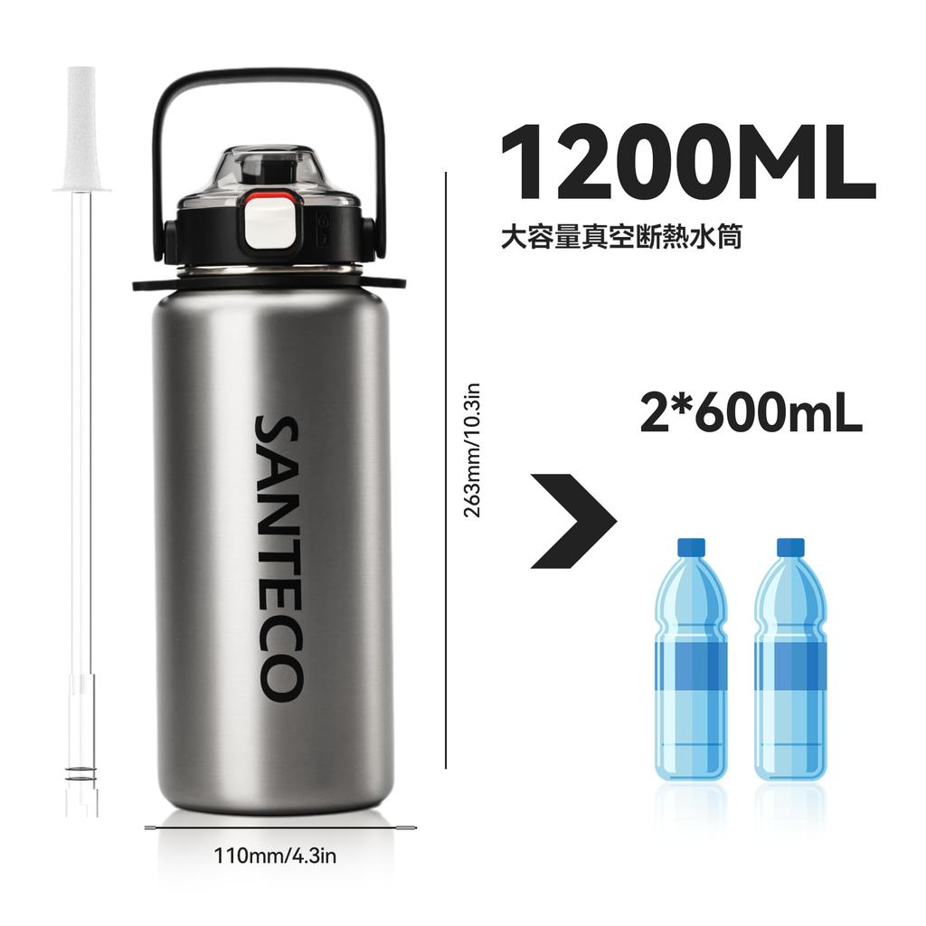 SANTECO Vacuum Insulated Sports Bottle Silver with Shoulder Strap Direct from Japan