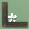 Butterfly Flower Shoe Decoration Buckles for Garden Clogs