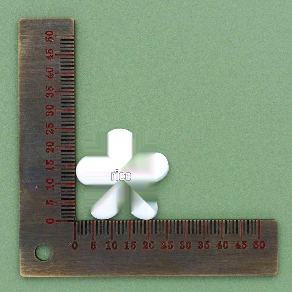 Butterfly Flower Shoe Decoration Buckles for Garden Clogs
