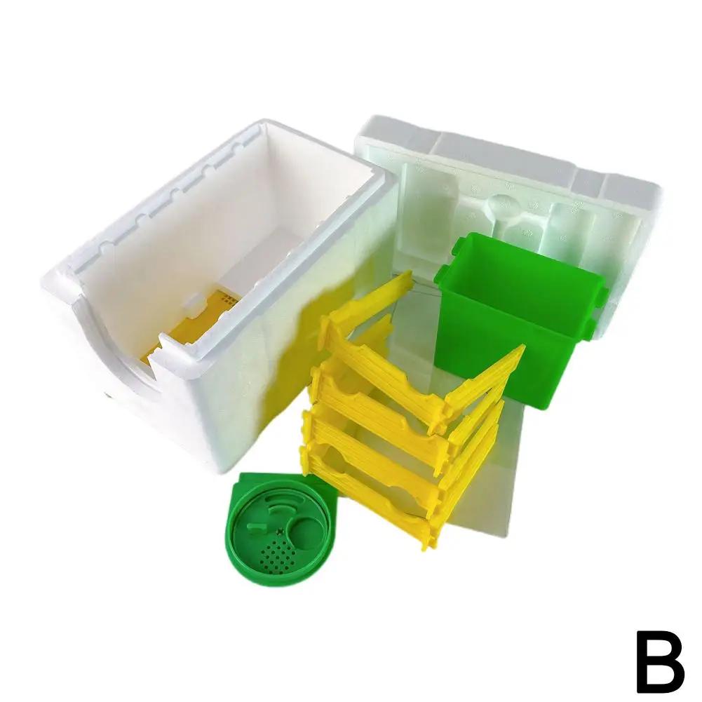 Mini Beehive Beekeeping Box Multi-Function Home Bee Boxes Bee Beekeeper Hive Hive Harvest Pollination Supplies Mating W0N5