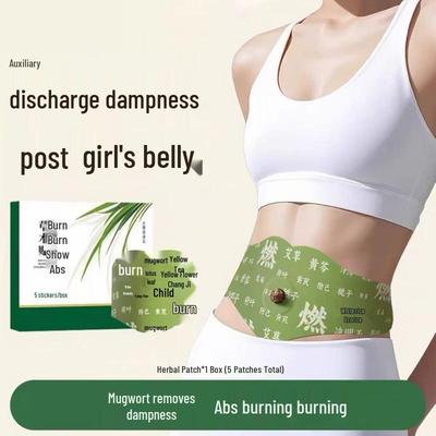 DR JEVEITAL Herbal Moxibustion Navel Patches