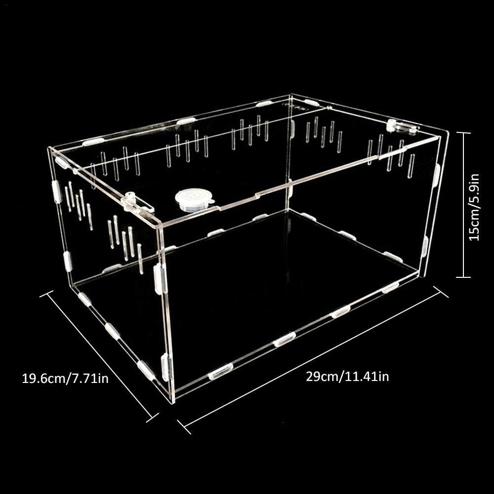Akrylowe Terrarium Pojemnik dla Reptilii z Otworami Wentylacyjnymi Łatwe do Czyszczenia i Utrzymania Magnetyczne