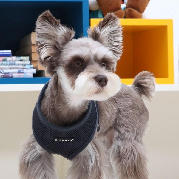 Puppy Puppy Soft Harness A PDCF-AC30, Gray