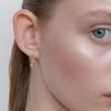 [Silver] Pure Cubic Mont Drop Earrings (L251MER060)