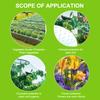 1 Piece Green Woven Mesh Protect Plants Fruits Flowers Trees Stretch Fencing Durable Net Stops Birds Deer Animals Garden Netting