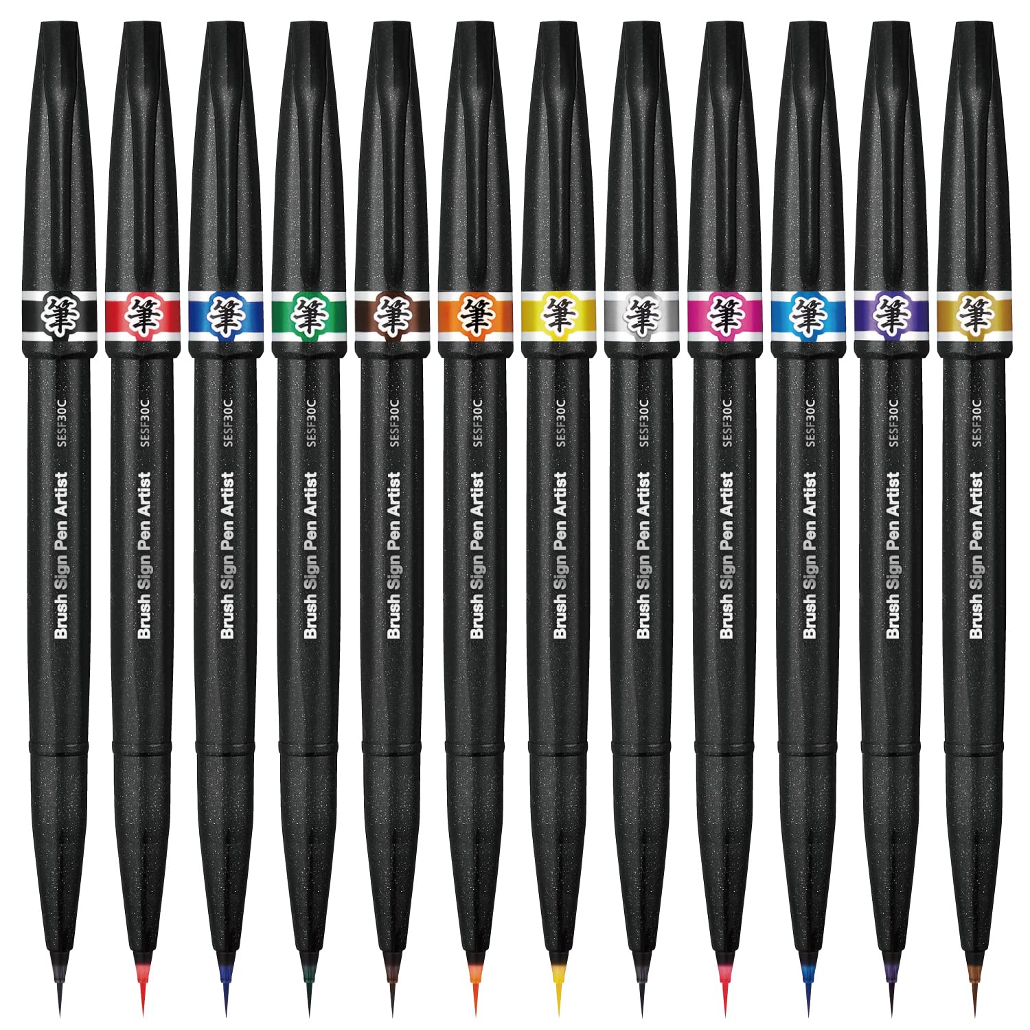 

Pentel кисть ручка кисть знак ручка художник набор из 12 цветов AMZ-SESF30C-12