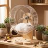 Transparent Hamster Exercise Wheel Wooden Stand Hamster Running Stand Pet Exercise Toy  Golden Bear