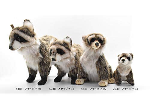 BH4248 HANSA Raccoon 25