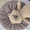 Quokkas Plush Toy For Adult Kids Machine Washable Comfort Soothing Animal Doll Bedroom Couch Decoration Child Gift