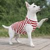 Round Neck Dog Cooling Vest Soft Fabric Pet Striped T-Shirt Dog Summer Clothes  Photography