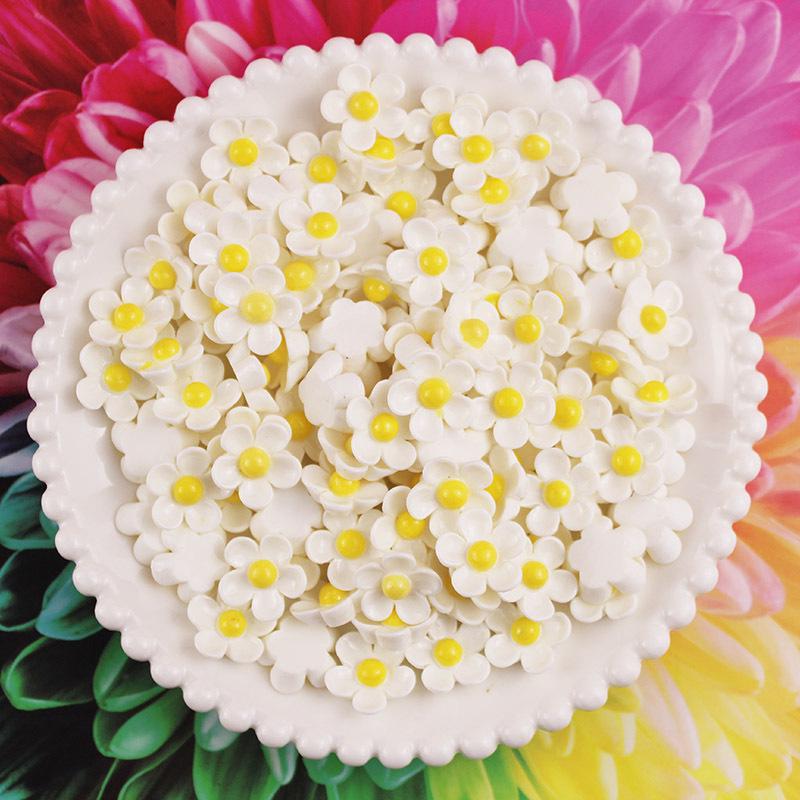 Frangipani Resin Accessories: Handmade White Flower Hair Clips, Ties, Jewelry, Cream Glue, and Phone Case DIY Kits.