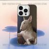 Funny Bull Terrier Dog Phone Case For iPhone 16,15,14,13,12,11,Mini,Pro,E,MAX White Candy Matte Shockproof Cover