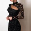 Elegant Women's Lace Hollow Knitted Bodycon Dress with Glittering Highlights.