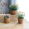 Woven er Basket Rattan Braided Succulent Storage Garden Plant Pot Manual Fruit Organizer Wedding Party Ornaments