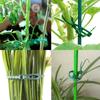 10Pcs Lever Ring Garden Plant Support Clips Durable Plastic Green Lever Ring Clips  Fixed Plants