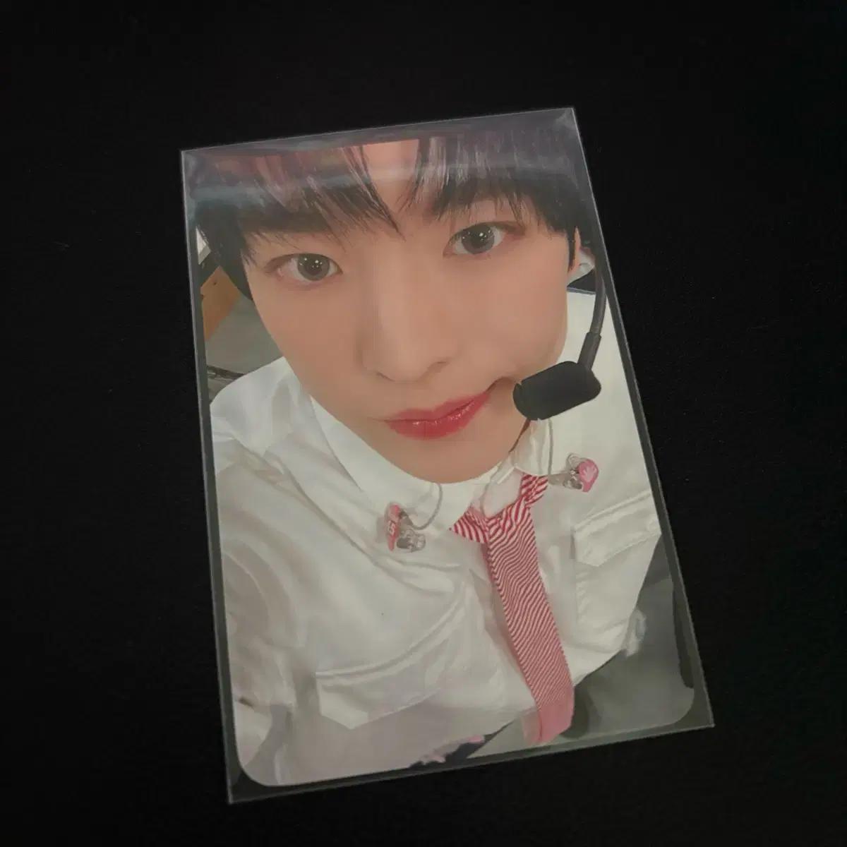

Ncitywish Yuushi Photocard Songbird Timon Photocard