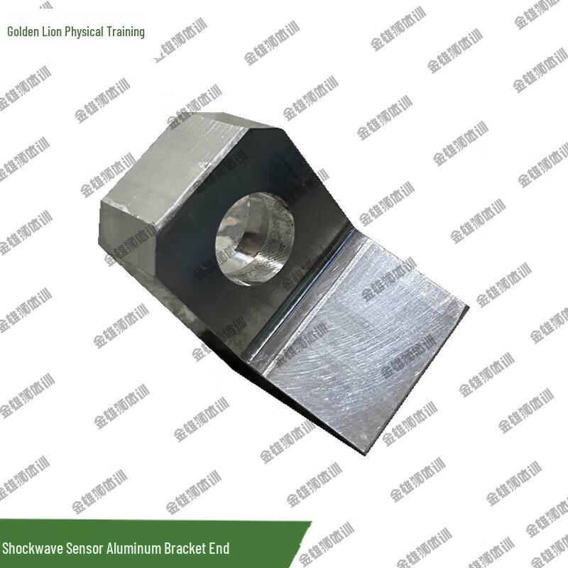 Golden Lion Shockwave Target Sensor Bracket End Cap