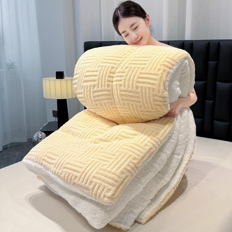 Solid color Tafu velvet jacquard quilt core autumn and winter quilt warm velvet simple wind thick quilt