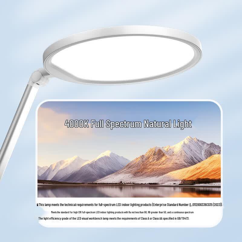 Philips AA Grade Full-Spectrum LED Eye-Protection Desk Lamp