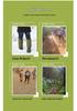 600D Oxford Waterproof Hiking & Skiing Gaiters: Snow & Sand Protection Leggings