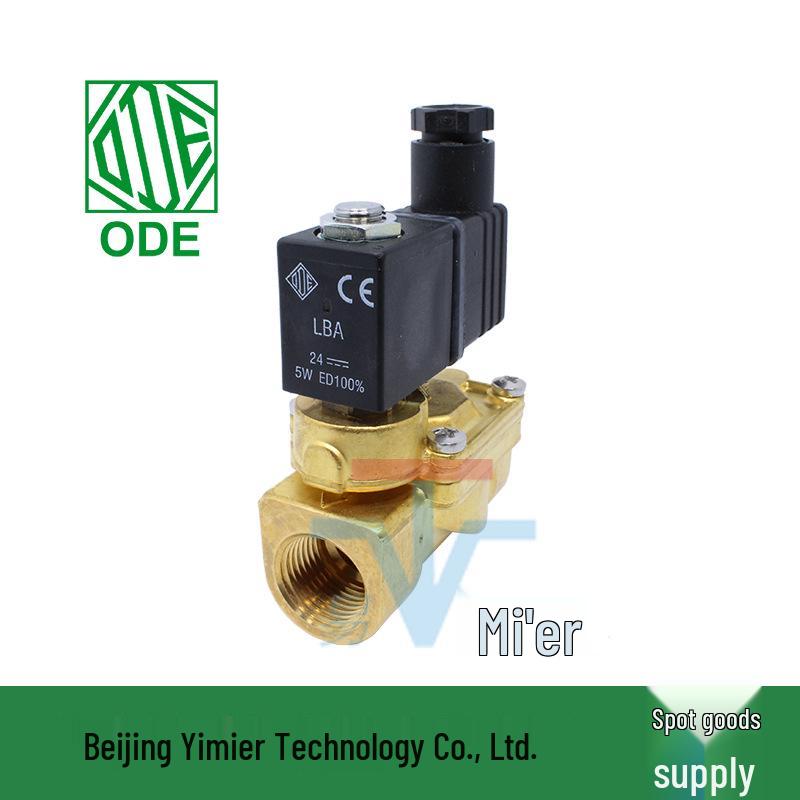 Solenoid Valve 21WA4R0B130 110V DN15 Two-Way Pilot Water Switch