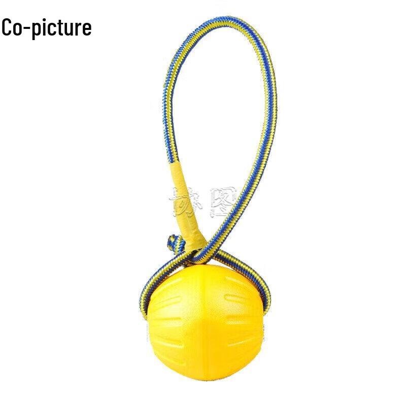 Xietu Professional Dog Training Equipment Collection