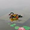 Floating Mandarin Duck Statue Resin Animal Figurine Durable Swan Sculpture  Fish Tank