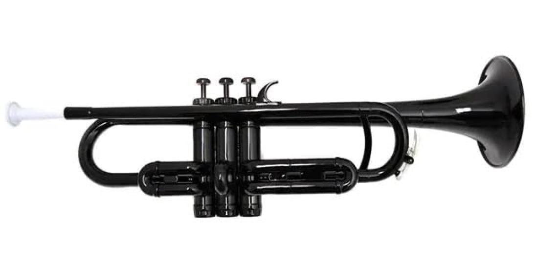 

ТРУБА PLAYTECH, АБС-пластик, Легкая (приблизительно. 500г), Включает полужесткий чехол, черный