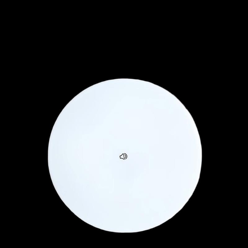 SHUANG 12W LED Ceiling Light with Sound & Light Control