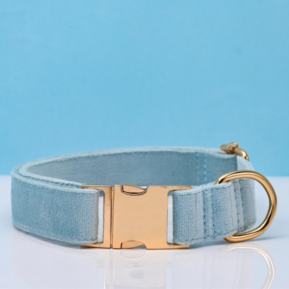 Ensemble collier et laisse pour chien en velours gravé avec boucle métallique réglable