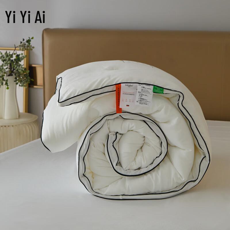 Yiyi Ai Embossed German Velvet Winter Quilt