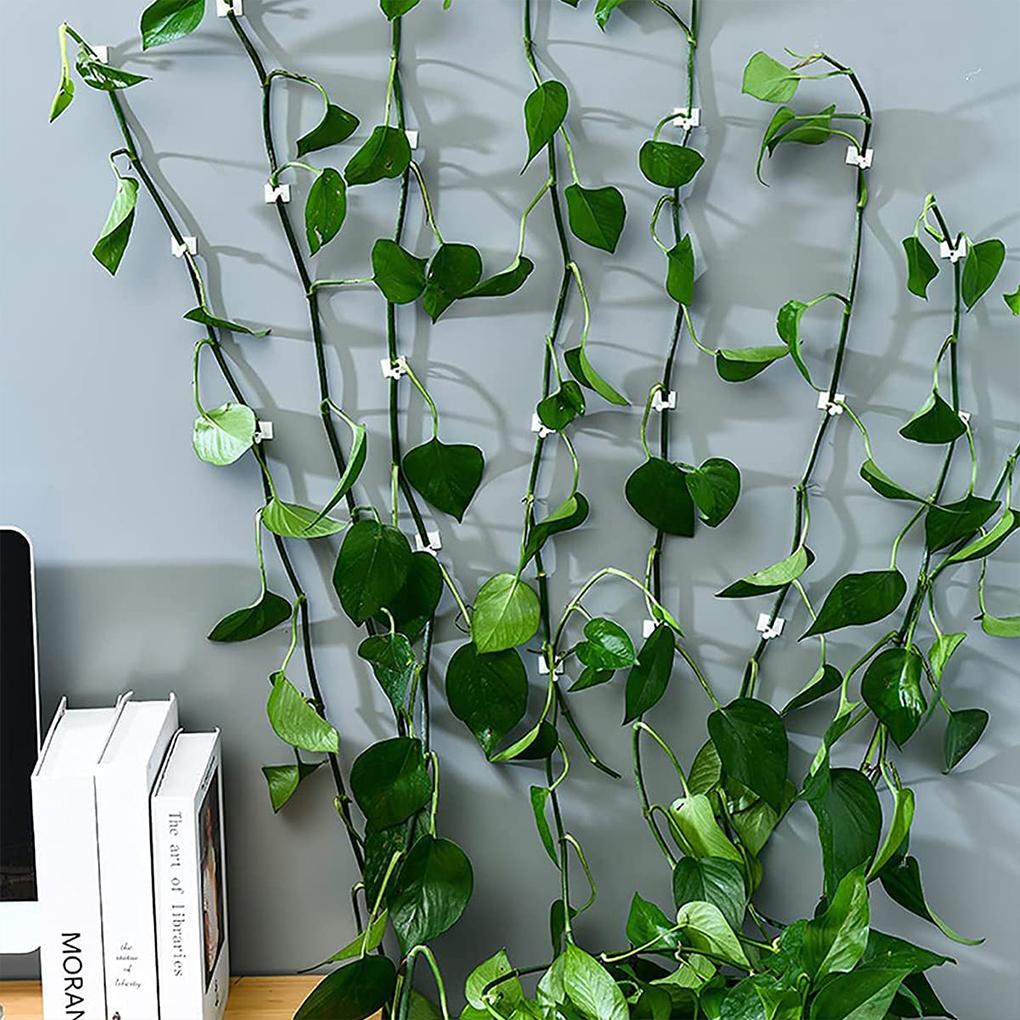 Plants Fixture Wall Climbing Fastener Wall-mounting Vine Supporting Hooks Fixing Gardening Clips Accessories Courtyard