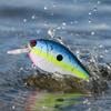 Fishing with 6 Color Options, Floating Topwater Noise-Making Hard, Lifelike Crankbait