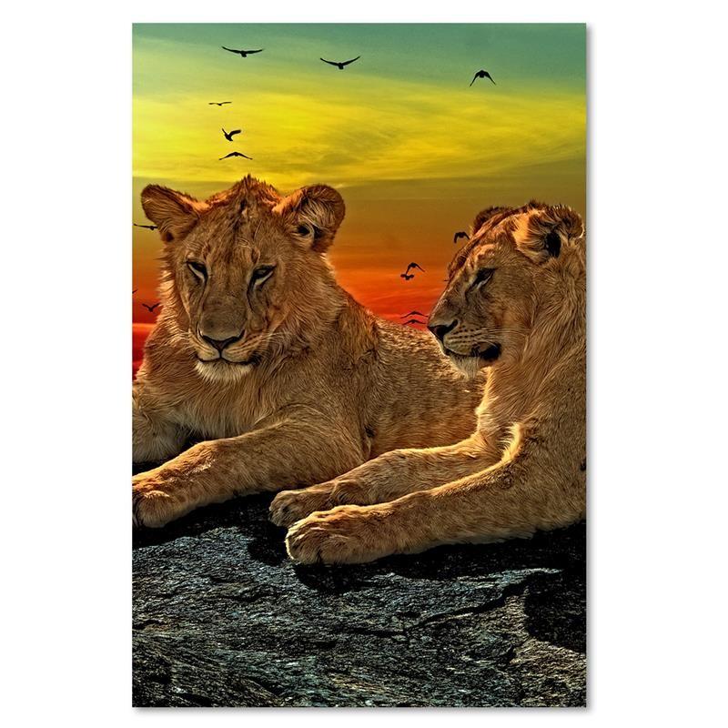 Obraz Lions Africa Animals