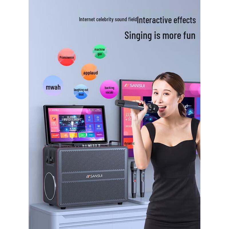 SANSUI C18 All-in-One Outdoor Karaoke Machine
